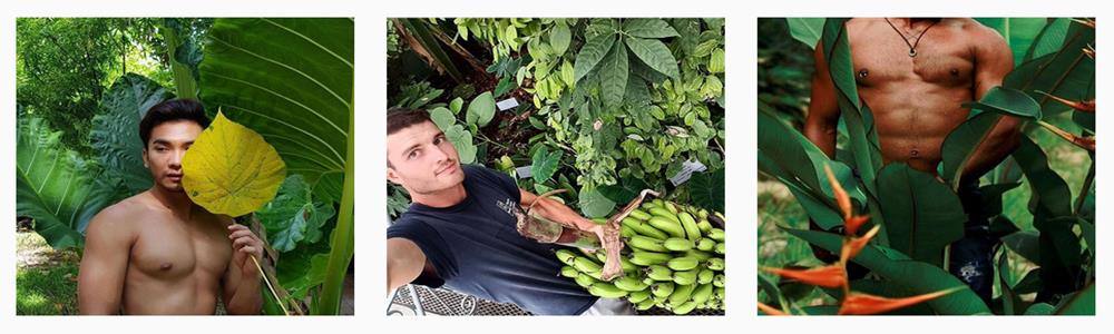 boys with plants