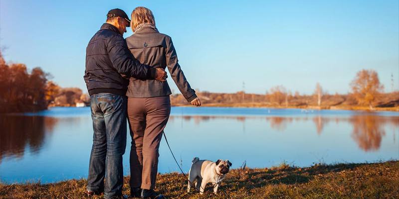 I cani riconoscono le persone buone da quelle cattive