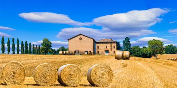 Aforismi sulla campagna