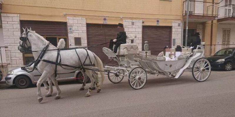 La bambina sulla carrozza trainata dai cavalli per la prima comunione 