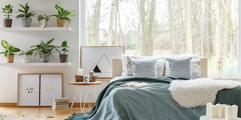 Le piante perfette in camera da letto per dormire meglio 