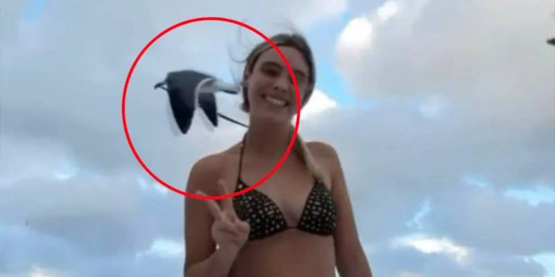 Lele Pons spogliata in spiaggia da un gabbiano che le sfila il bikini