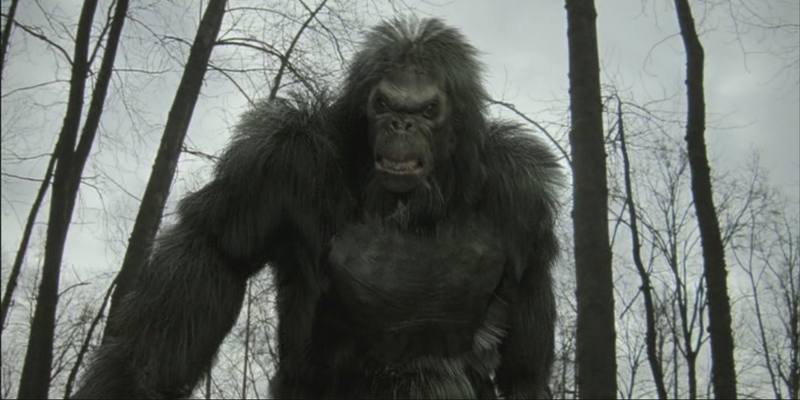 Bigfoot (Sasquatch), l'uomo-scimmia