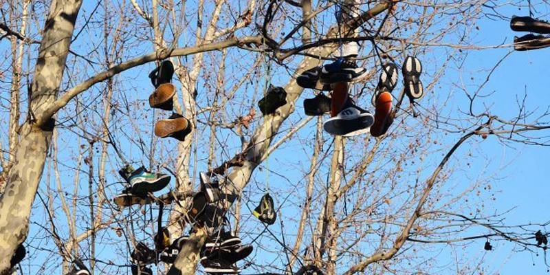 Gli alberi delle scarpe (o Shoe Trees)