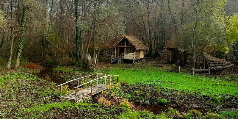 Le Terre Ballerine di Montalto Dora