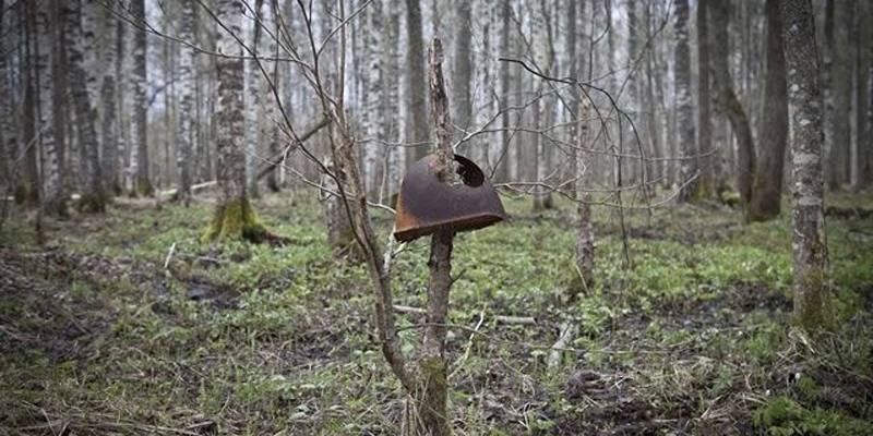 Myasnoy Bor, la foresta dei soldati uccisi nella Seconda Guerra Mondiale