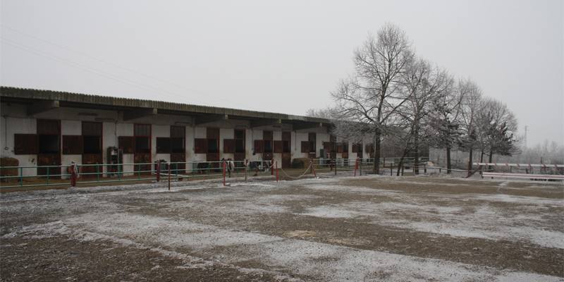 Cos'è la neve chimica?