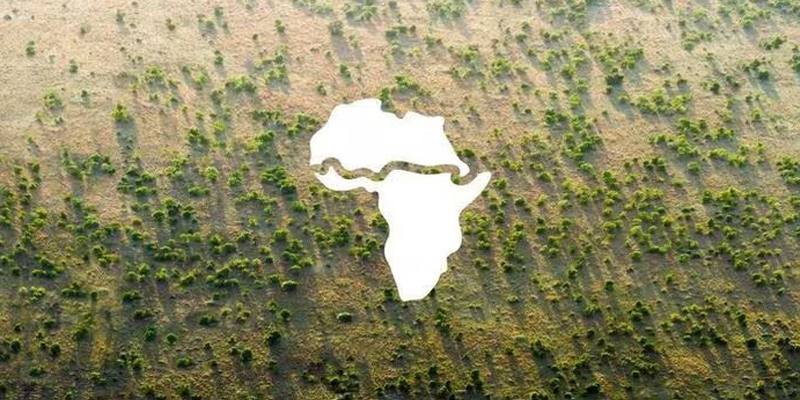 Cos'è la Grande Muraglia verde dell'Africa